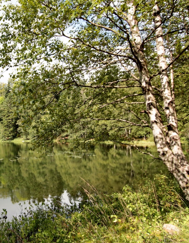 Lac de la MAIX - les VOSGES  25  Beaute et Paysages de notre Belle France - Guy Peinturier